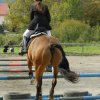 Babie Lato 2016